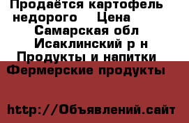 Продаётся картофель , недорого. › Цена ­ 200 - Самарская обл., Исаклинский р-н Продукты и напитки » Фермерские продукты   